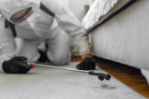 Professional Ant Control technician working in Livonia, LA