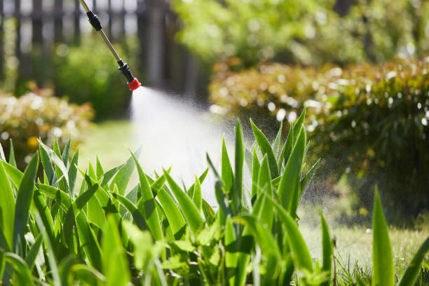 24/7 Emergency Ant Control experts in Livonia, LA